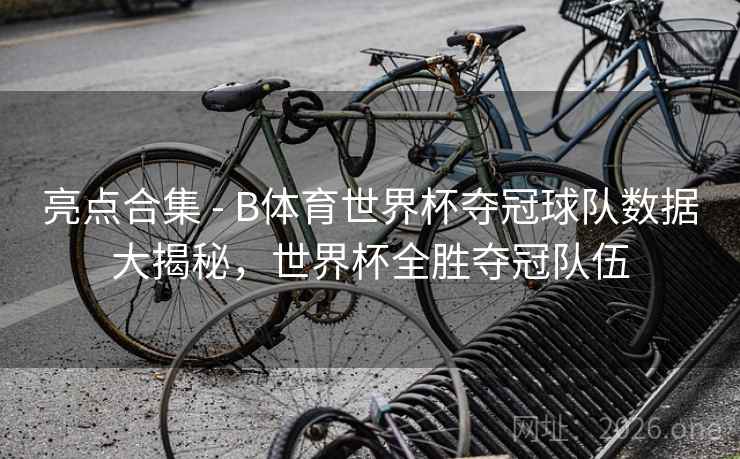 亮点合集 - B体育世界杯夺冠球队数据大揭秘，世界杯全胜夺冠队伍