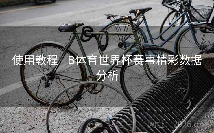 使用教程 - B体育世界杯赛事精彩数据分析