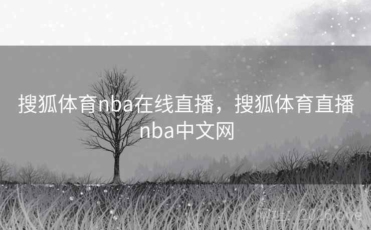 搜狐体育nba在线直播,搜狐体育直播nba中文网